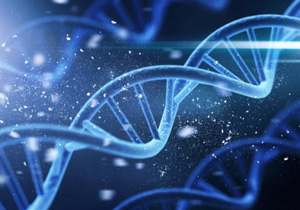 アンチエイジング繋がり・核酸ドリンク・体質改善